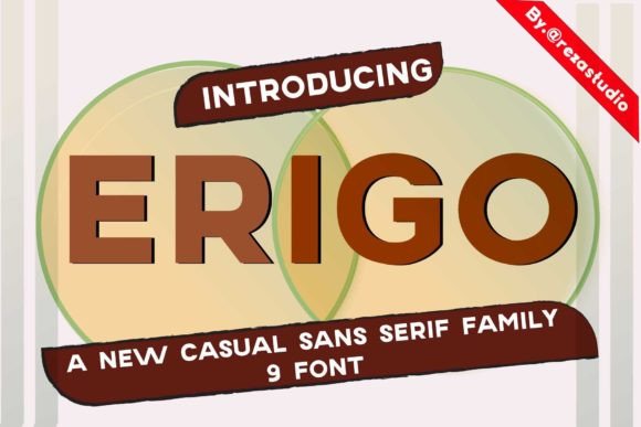 Erigo: A Designer’s Honest Review for Real Branding Work