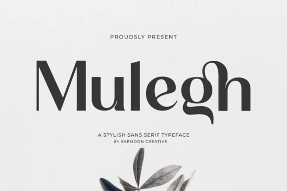 Mulegh: A Stylish Sans Serif Font for Modern Web Design
