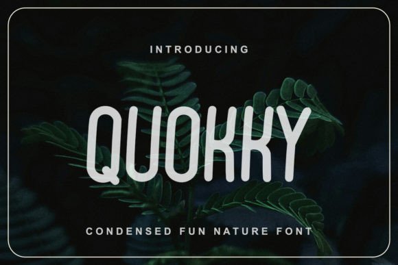 Quokky: A Sweet Sans Serif Font for Editorial Design