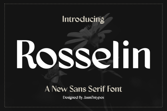 Rosselin: A Bold Sans Serif Font for Branding